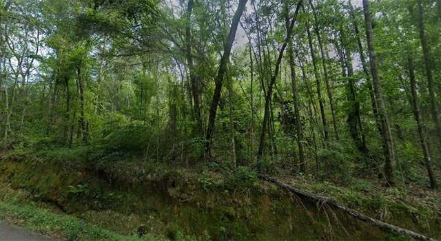 Photo of Old Uneedus Rd, Loranger, LA 70446
