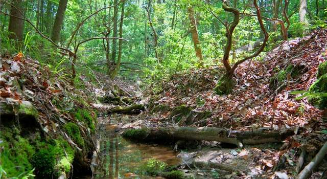 Photo of Lot 7 La-62 Hwy, Angie, LA 70426