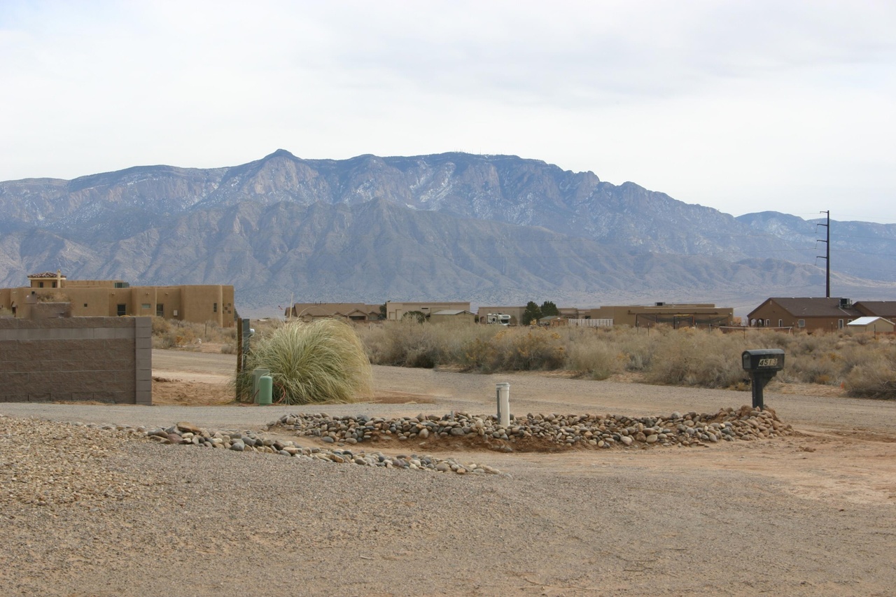 are there lots of snakes in rio rancho nm are there lots of snakes in rio rancho nm