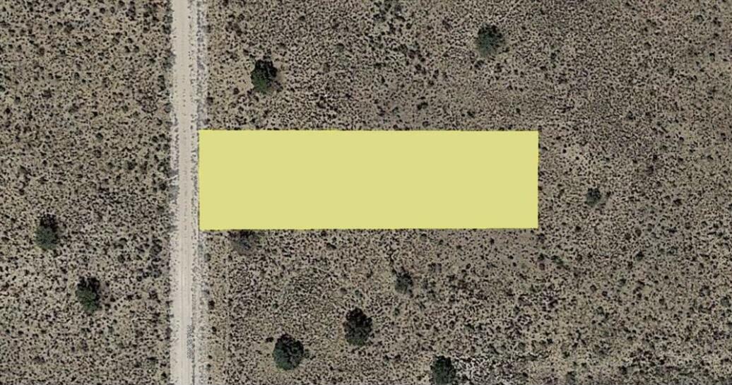 are there lots of snakes in rio rancho nm