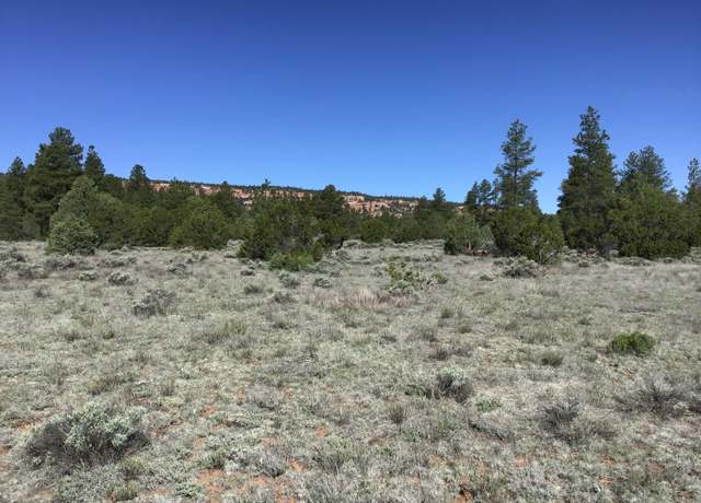 Property at Lots 7-8 Cottonwood Dr, Ramah, NM 87321