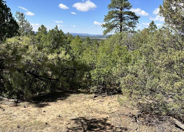 Property at 99 Private Drive 1781a, Chama, NM 87520