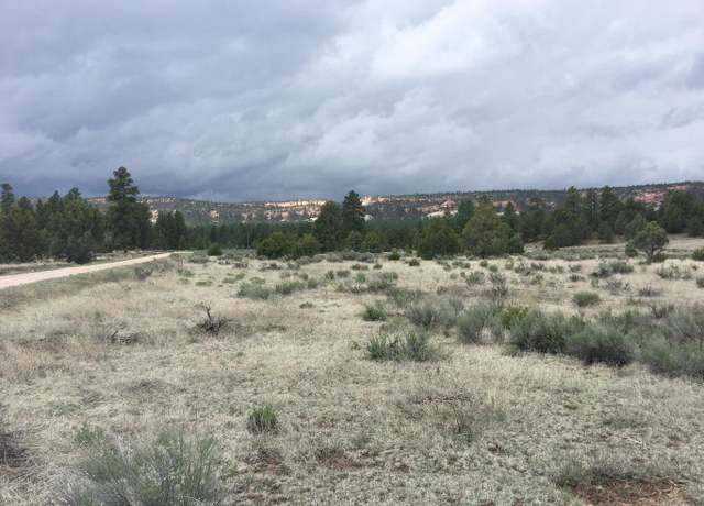 Property at Lot 2 East Elk Rd, Ramah, NM 87321