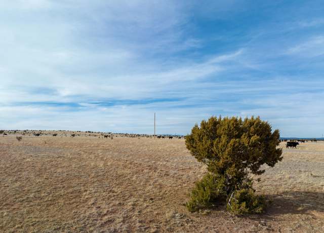 Property at Portillo Creek Ranch, Tract 12, Santa Rosa, NM 88435