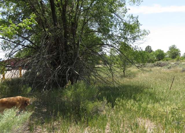 Property at 550 & Church Rd, Cuba, NM 87013