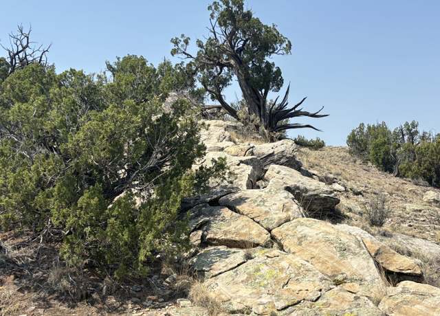 Property at Lots 63&64 Abbe Springs Rnch, Magdalena, NM 87825