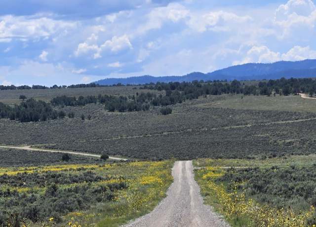 Property at Unit 10 Tract 243 El Vado Lake Subd., Tierra Amarilla, NM 87575