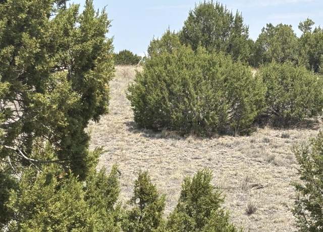 Property at Lot 189 Pinon Springs Rnch, Magdalena, NM 87825