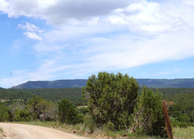 Property at Lot 5 Sherwood Frst, Torreon, NM 87061