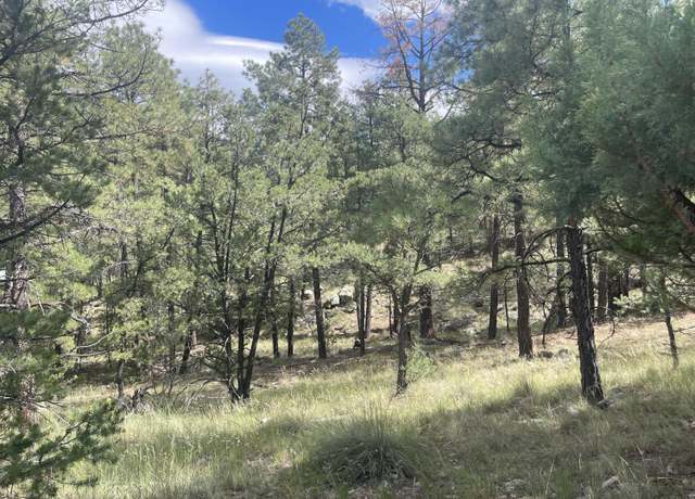 Property at 9.36 ACRES End Of Hop Cyn, Magdalena, NM 87825