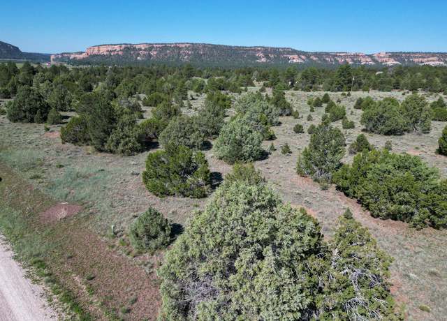 Property at Lot 15 Buttonwood Dr, Ramah, NM 87321