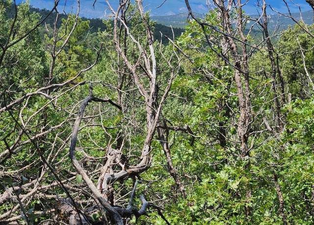 Property at 5 Speis Rd, Tijeras, NM 87059
