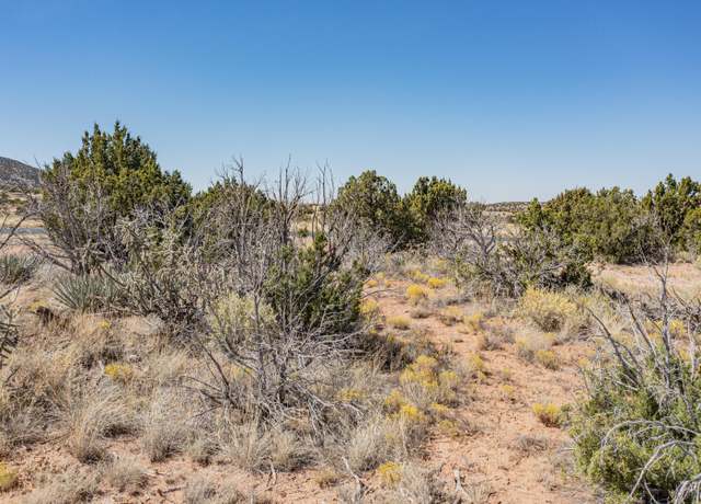 Property at 242 Moonlight Ridge Rd, Placitas, NM 87043