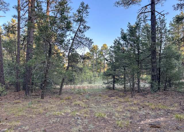 Property at 120 Skyland Blvd, Tijeras, NM 87059