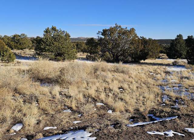 Property at 50 Highway 60, Pie Town, NM 87827