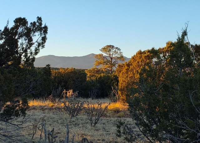 Property at Road Runner Rd, Mountainair, NM 87036