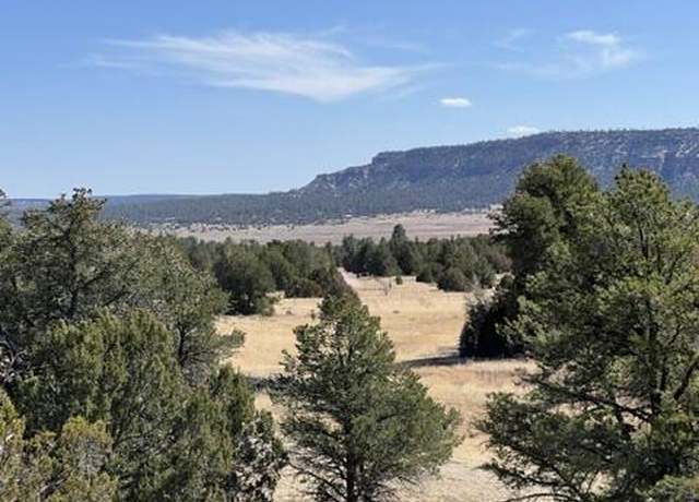 Property at Lot 9 Copperweed Rd, Ramah, NM 87321