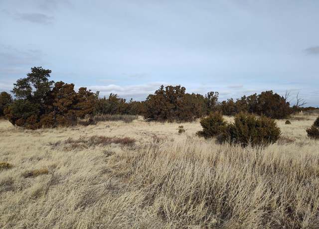 Property at Seventh St, Mountainair, NM 87036