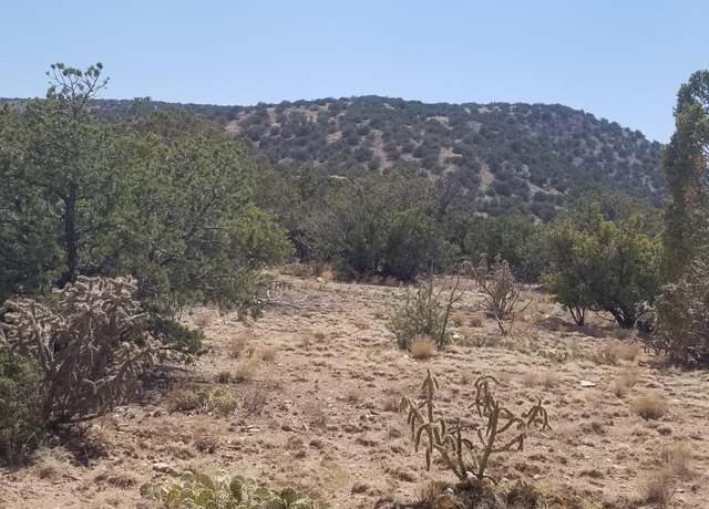 Property at 190 Quiet Valley Dr, Estancia, NM 87016