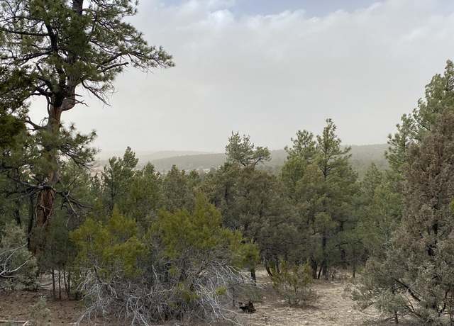 Property at 156 Holli Loop, Edgewood, NM 87015