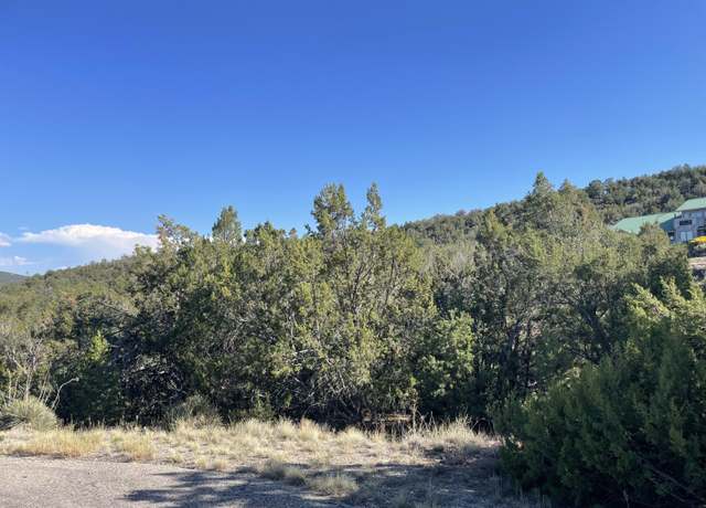 Property at 55 Canyon Ridge Dr, Sandia Park, NM 87047
