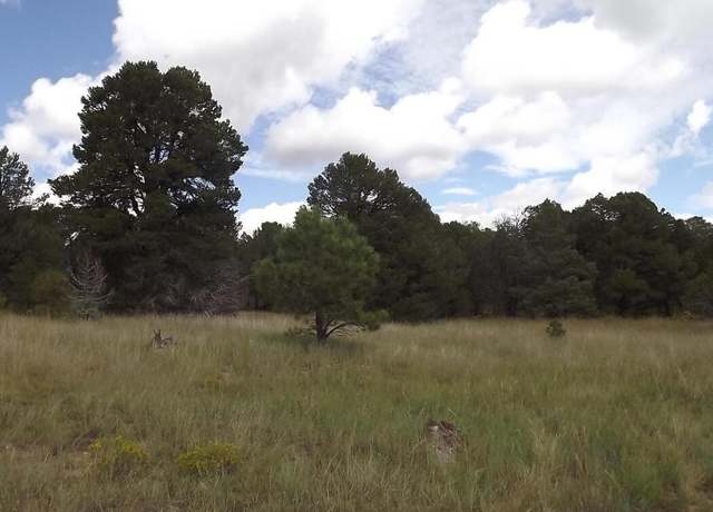 Property at 36 Plant Rd, Edgewood, NM 87015