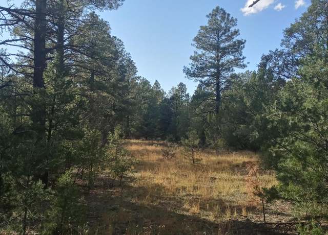 Property at Lot 15 Yucca Dr, Ramah, NM 87321