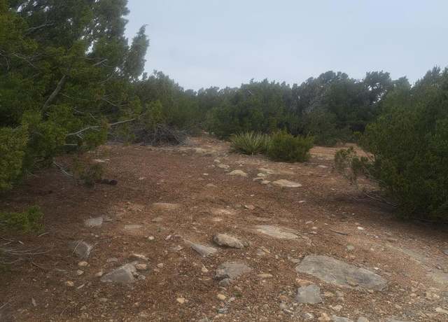 Property at 73 Highview Ln, Edgewood, NM 87015