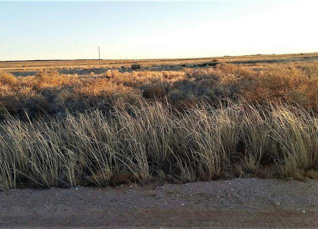 Property at Palomino Drive Lot 6 Dr, Moriarty, NM 87035