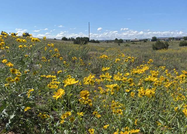 Property at Tbd Pioneer Rd, Edgewood, NM 87015