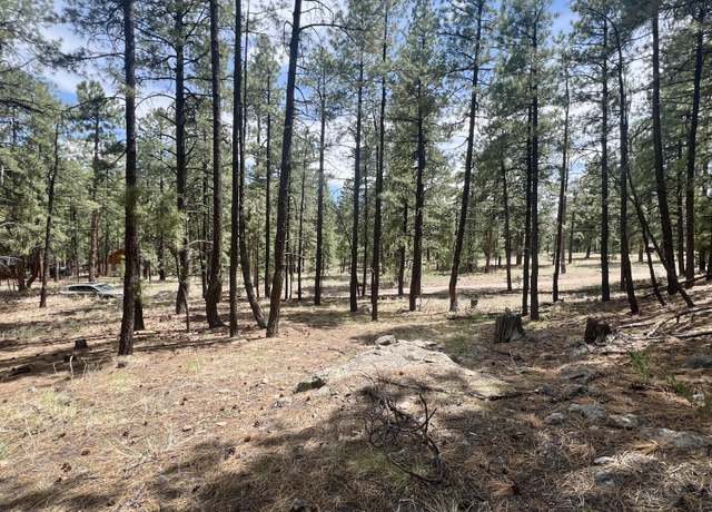 Property at Lot 36 Spruce Loop, Jemez Springs, NM 87025