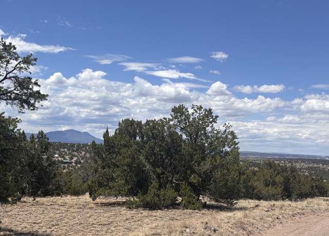 Property at Lots 53 & 54 Golden Horseshoe, Quemado, NM 87829