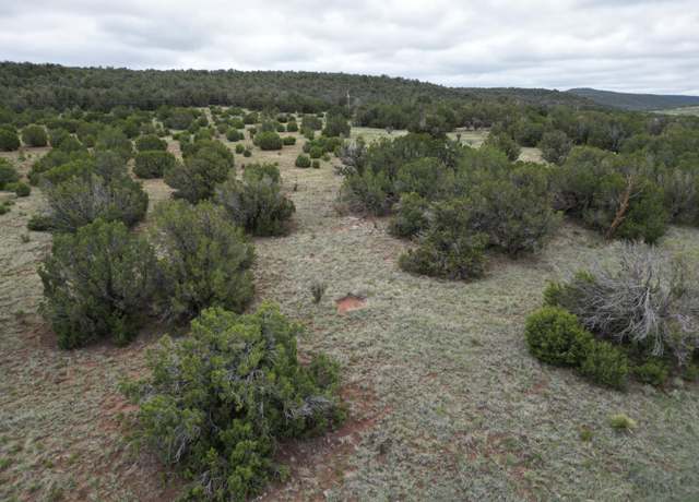 Property at 0 Windhaven Ln, Edgewood, NM 87015