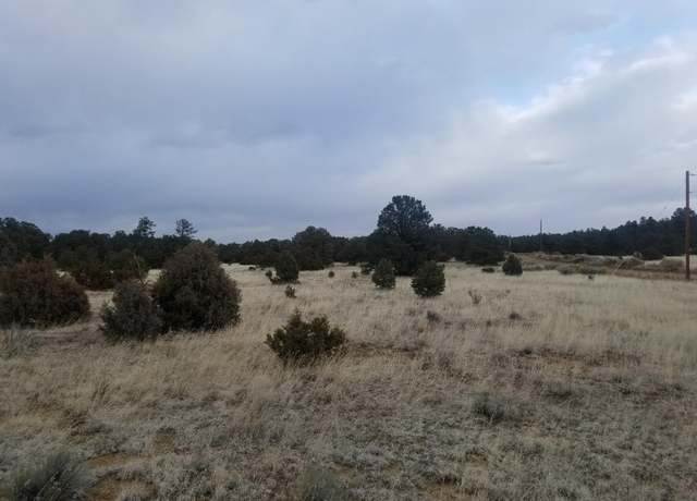 Property at 12 and 13 Ranchero Rd, Pie Town, NM 87827