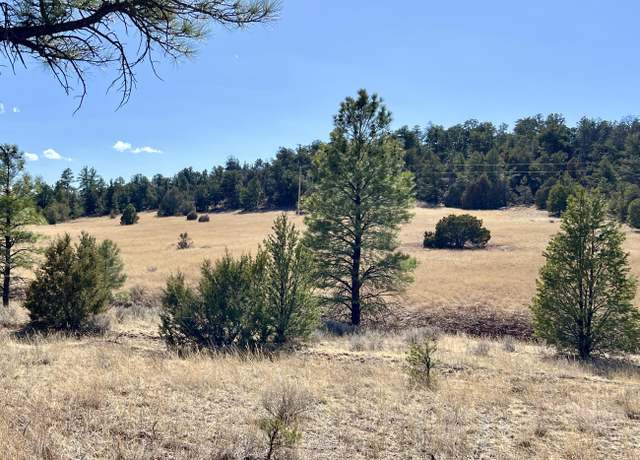 Property at Lot 9 Juniper Dr, Ramah, NM 87321