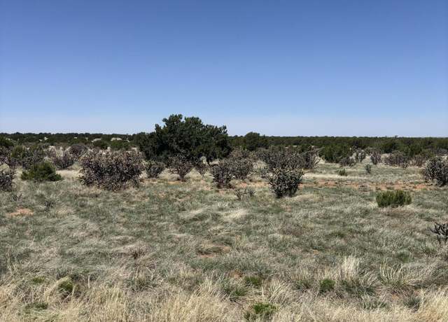 Property at 47 Lost Saddle Loop, Santa Rosa, NM 88435