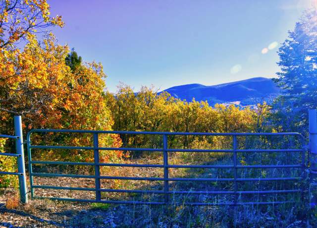 Property at Chacon; Creek B008, Mora, NM 87732