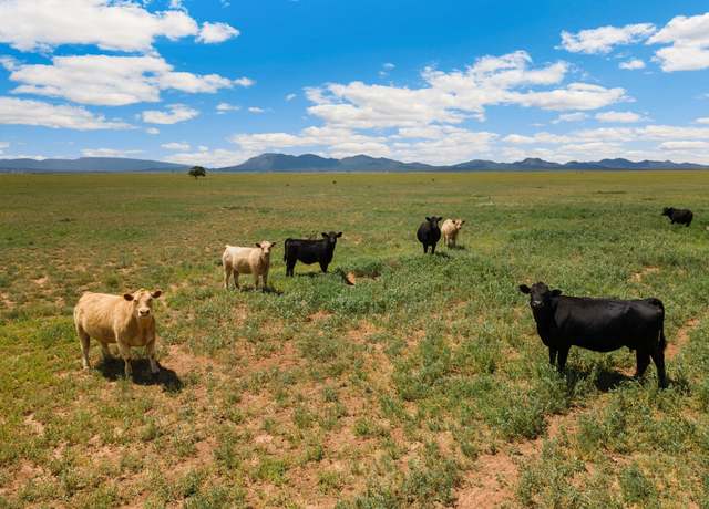 Property at Undisclosed address, Stanley, NM 87056