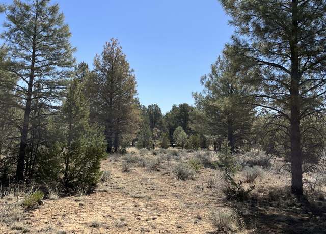 Property at Lot 239 Ranch Dr, Ramah, NM 87321