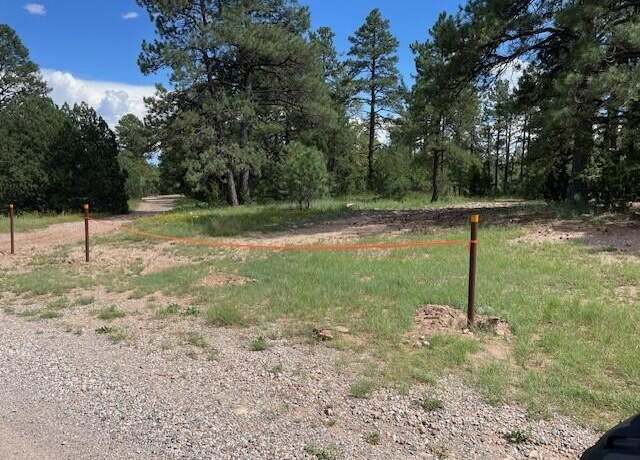 Property at 263 Cr S Forest Rd SW, Manzano, NM 87016