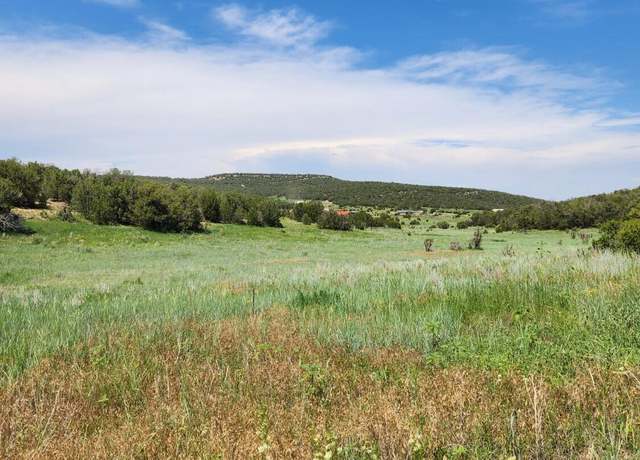Property at Escalante Rd, Edgewood, NM 87015
