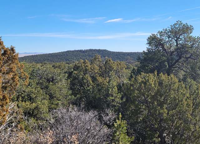 Property at 184 Sunlight Rd, Edgewood, NM 87015