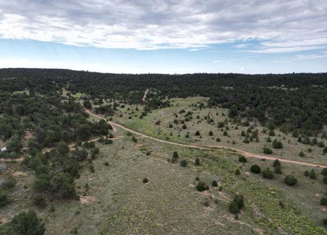 Property at Lot 14 Candy Kitchen Rd, Ramah, NM 87321