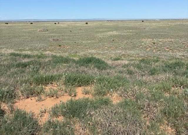 Property at Bluegrass Rd Tract 1s, Estancia, NM 87016