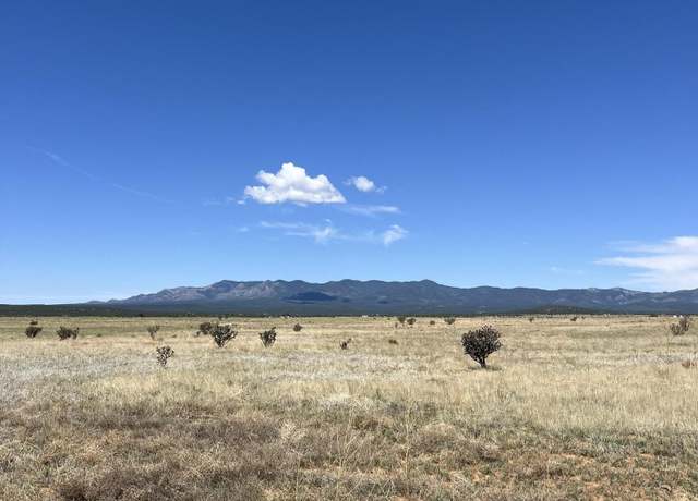 Property at Spencer Ranch Rd, Mountainair, NM 87036
