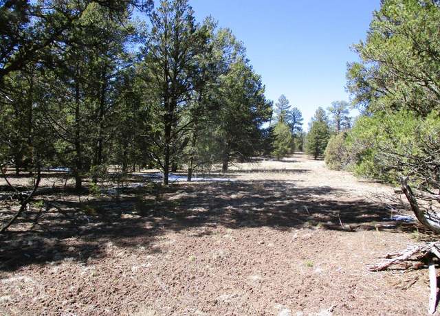 Property at Lot 5 Copperweed Rd, Ramah, NM 87321