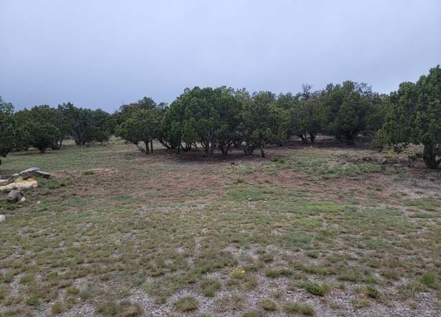 Property at 100 High Vista Ct, Edgewood, NM 87015