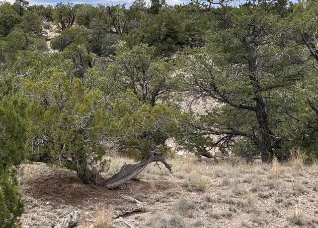 Property at Lot 43 Abbe Spings, Magdalena, NM 87825