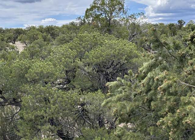 Property at Lot 43 Abbe Spings, Magdalena, NM 87825