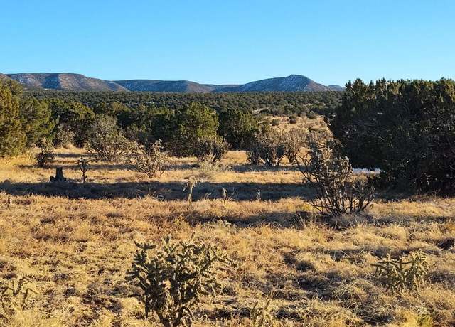 Property at Ravine Ln, Mountainair, NM 87036